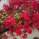 Stamatias Home, Fully Equipped 5 Minutes From The Sea * Chania (Crete)