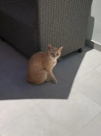 Stamatias Home, Fully Equipped 5 Minutes From The Sea 펜션 *