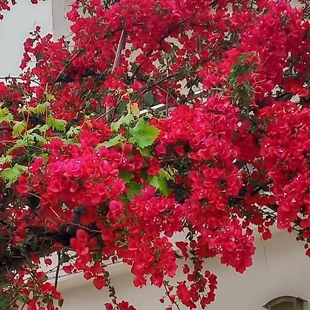 Stamatias Home, Fully Equipped 5 Minutes From The Sea * 하니아