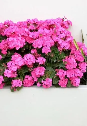 Stamatias Home, Fully Equipped 5 Minutes From The Sea * 하니아