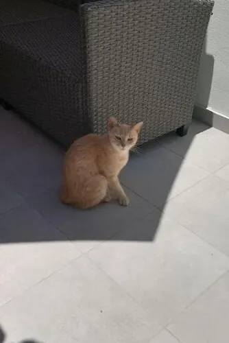 Stamatias Home, Fully Equipped 5 Minutes From The Sea 펜션 *