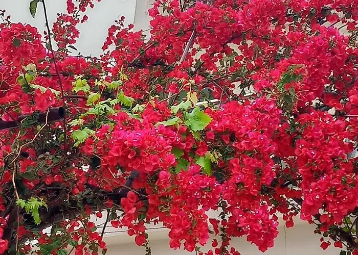 Stamatias Home, Fully Equipped 5 Minutes From The Sea * 하니아