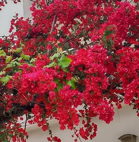 Stamatias Home, Fully Equipped 5 Minutes From The Sea * 하니아