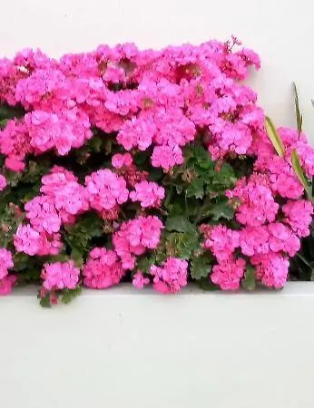 Stamatias Home, Fully Equipped 5 Minutes From The Sea * ハニア